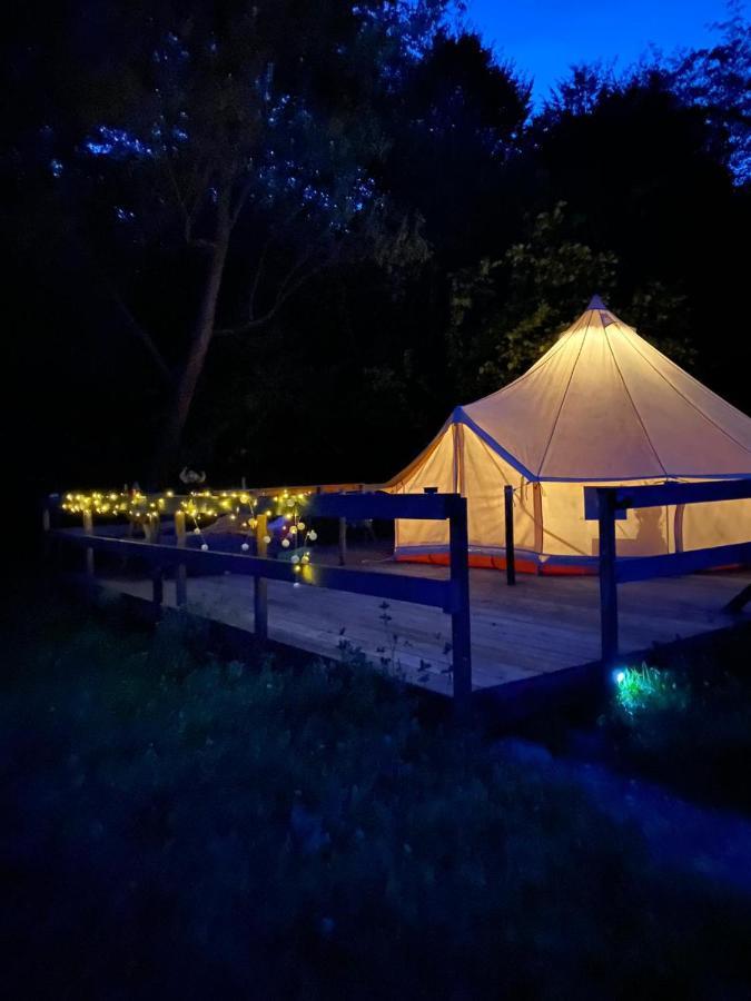 Forest Glamping Брашов Экстерьер фото