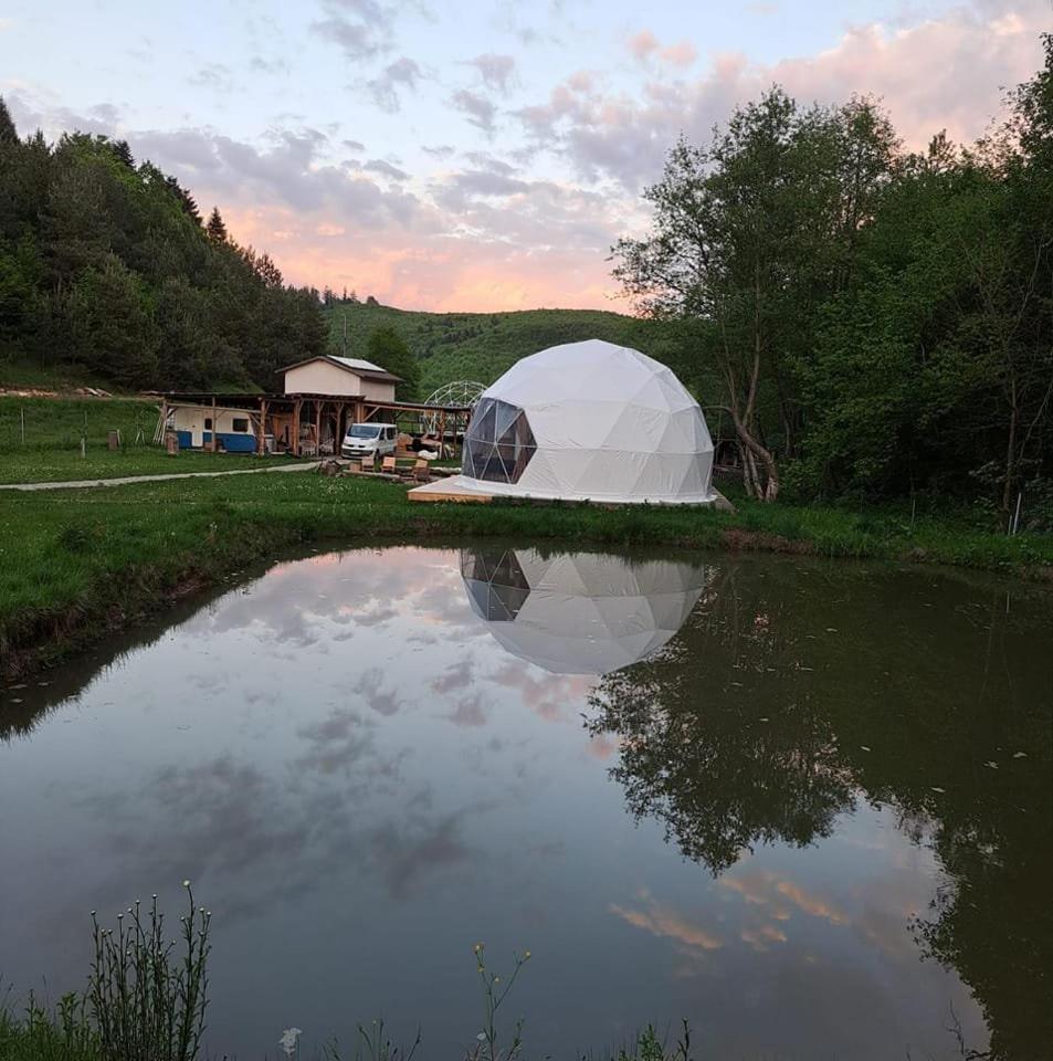 Forest Glamping Брашов Экстерьер фото