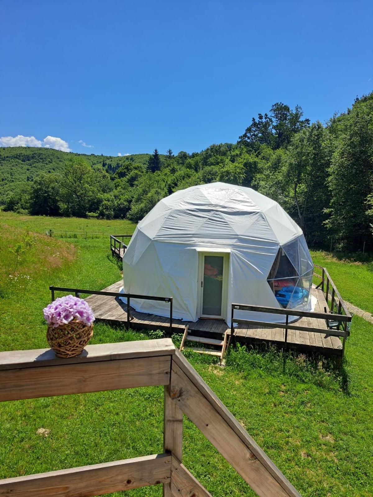 Forest Glamping Брашов Экстерьер фото