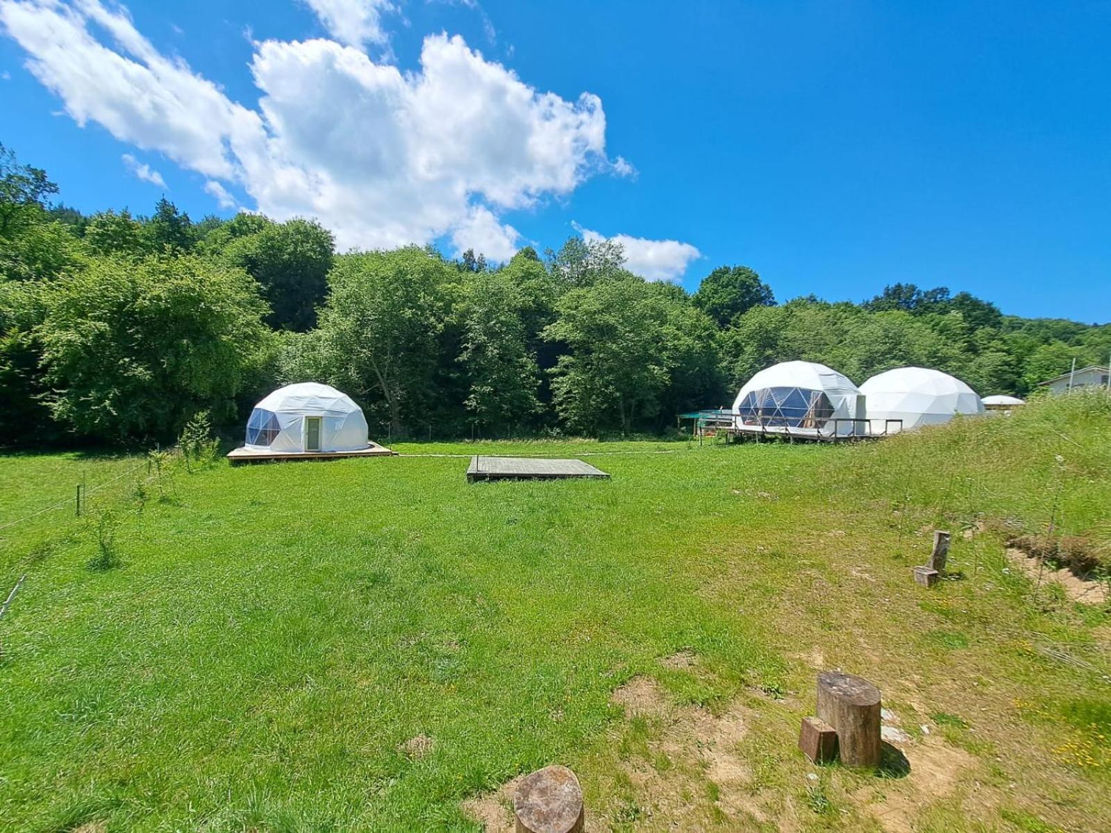 Forest Glamping Брашов Экстерьер фото