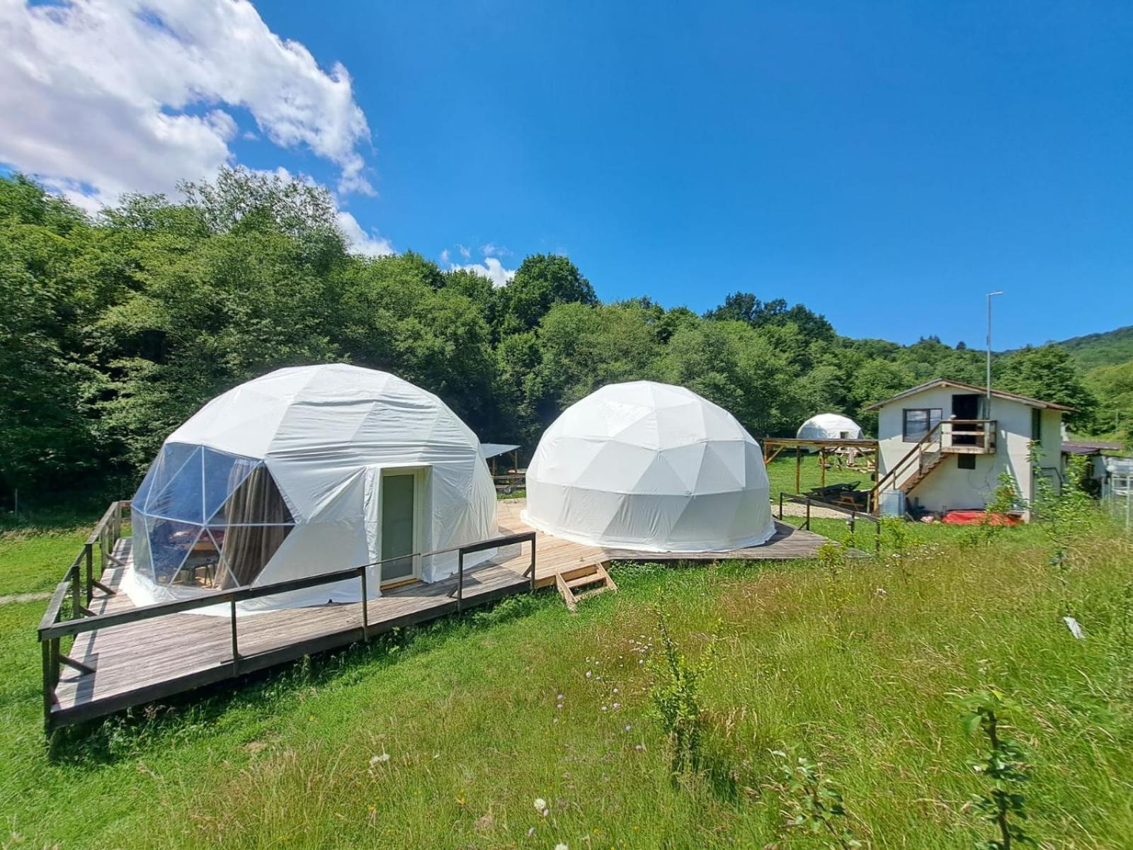 Forest Glamping Брашов Экстерьер фото