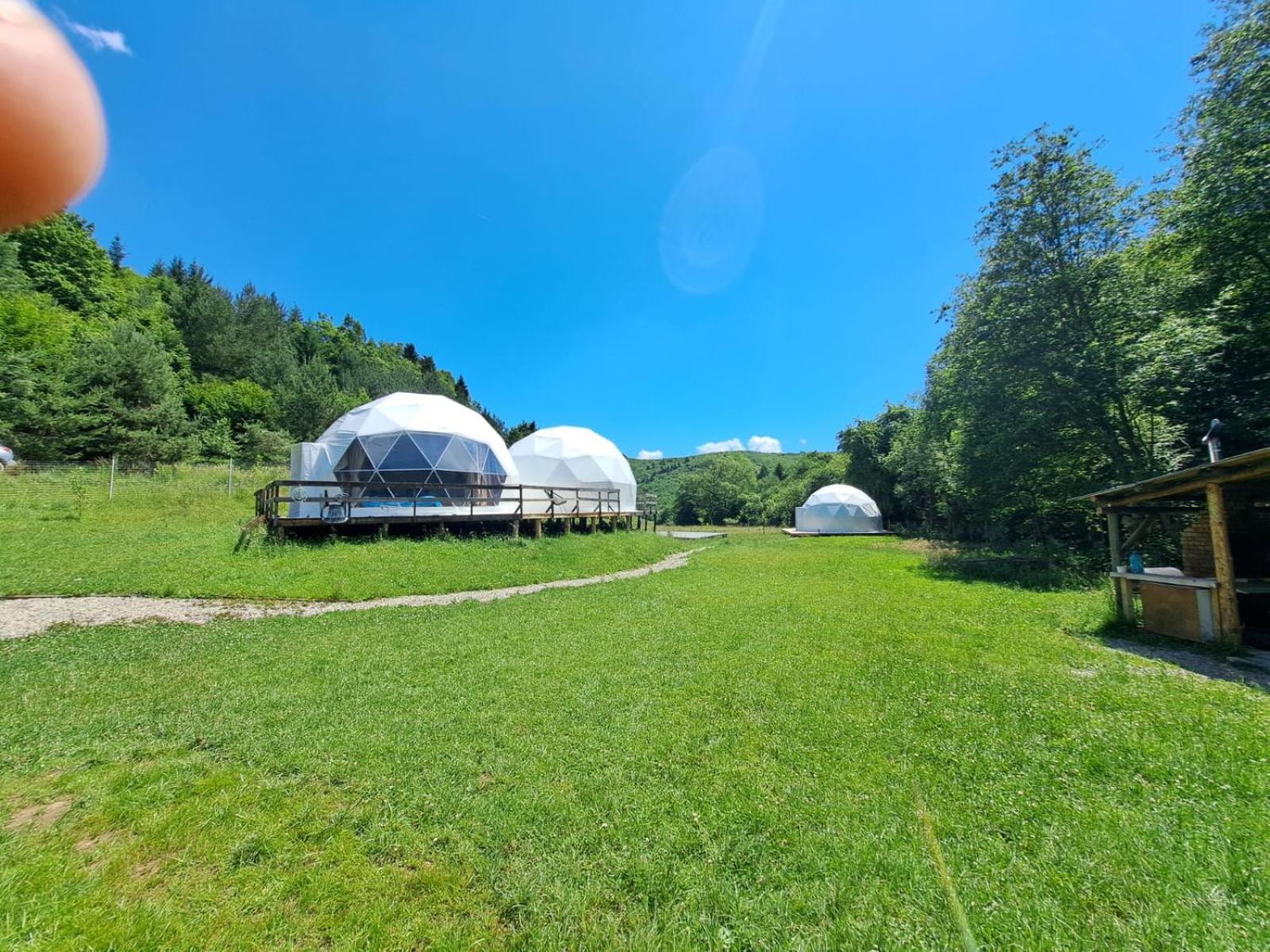 Forest Glamping Брашов Экстерьер фото