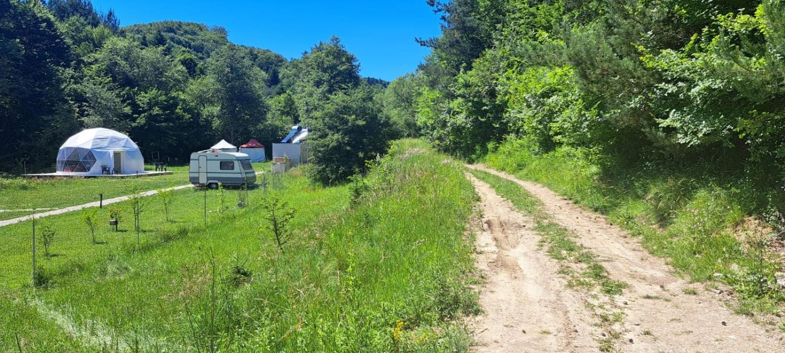 Forest Glamping Брашов Экстерьер фото