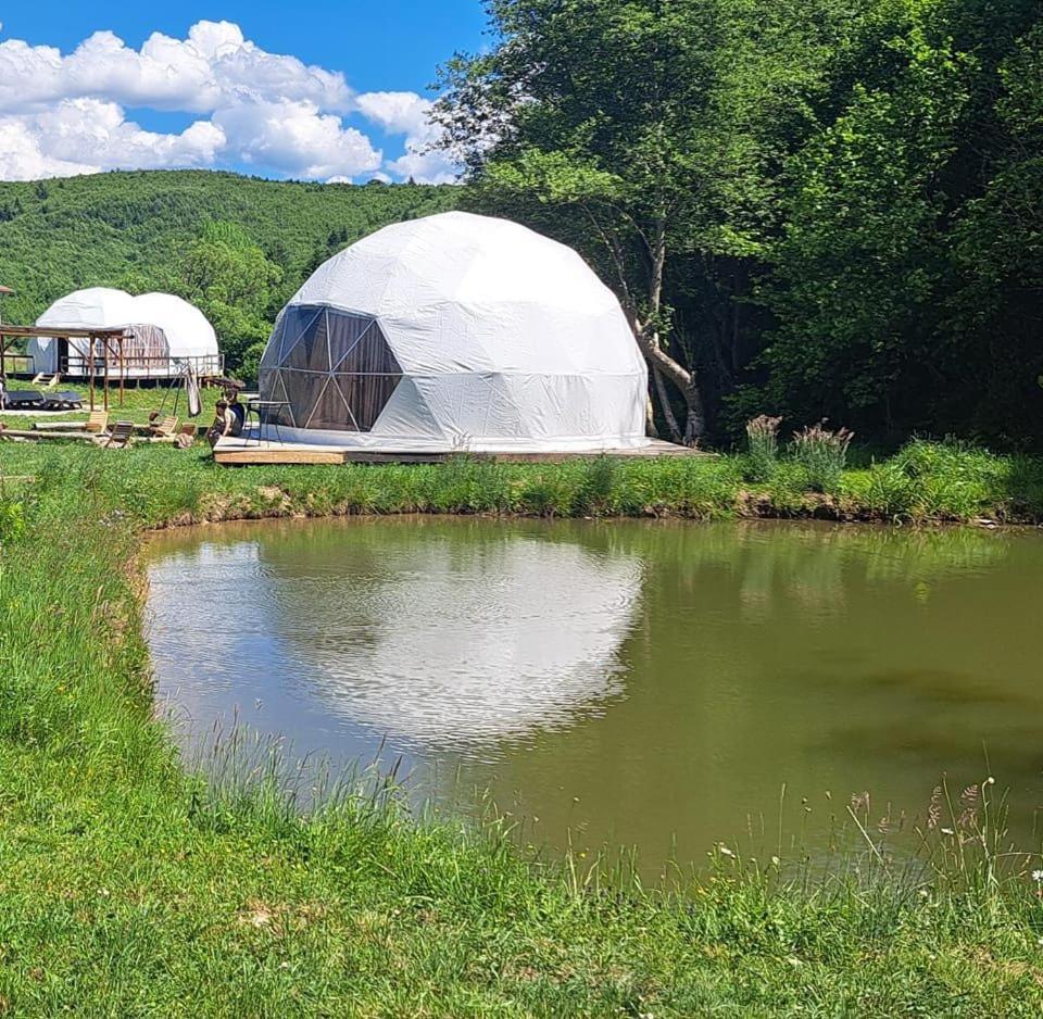 Forest Glamping Брашов Экстерьер фото