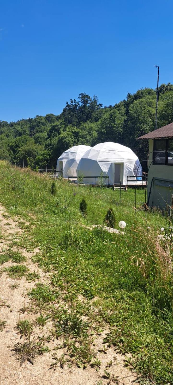 Forest Glamping Брашов Экстерьер фото