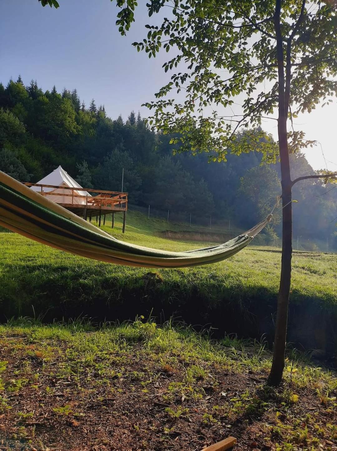 Forest Glamping Брашов Экстерьер фото