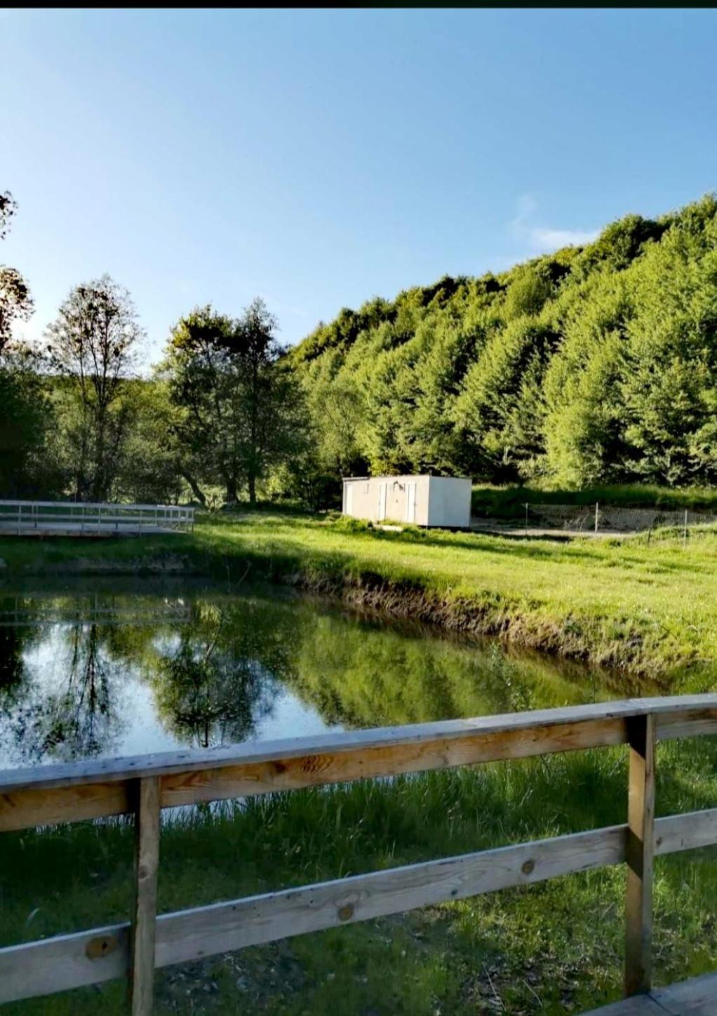 Forest Glamping Брашов Экстерьер фото