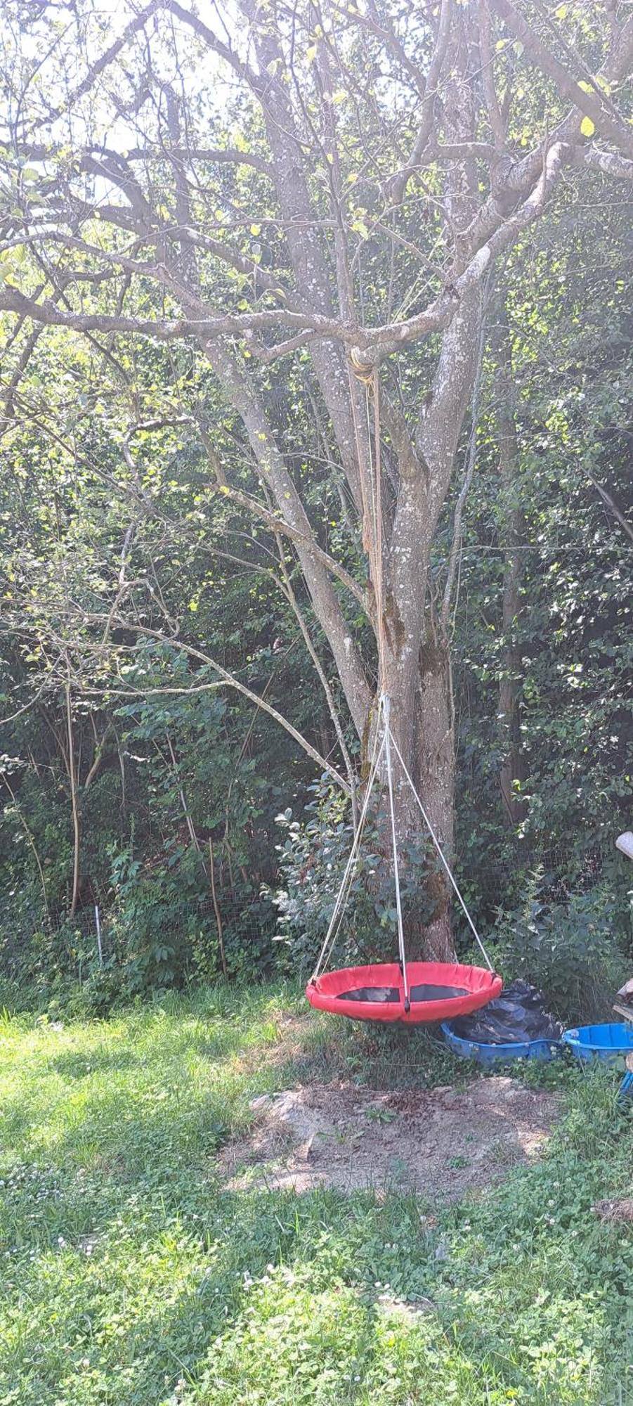 Forest Glamping Брашов Экстерьер фото