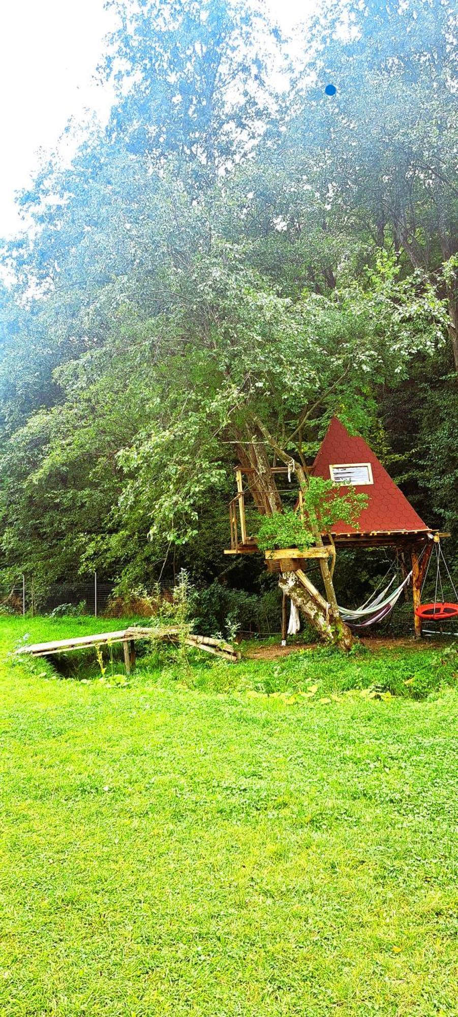 Forest Glamping Брашов Экстерьер фото